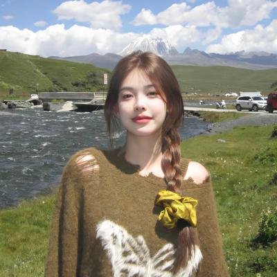 全能纳米机械狗